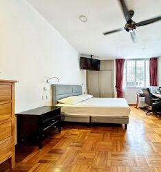 Holland Grove Road (D10), Terrace #573746791